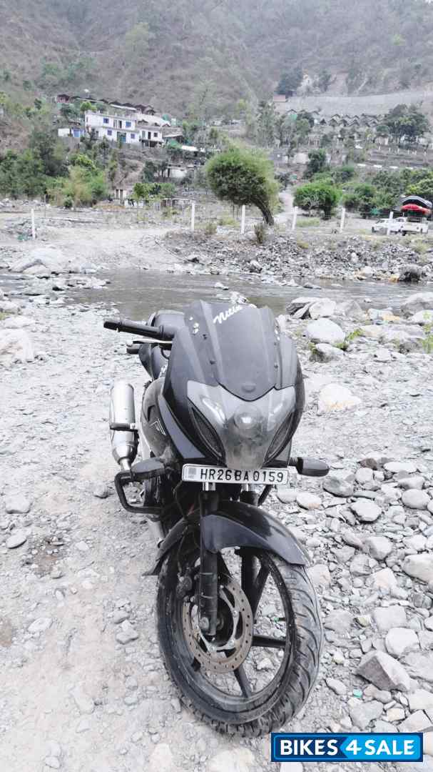 Black Bajaj Pulsar 220 DTSi