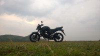 Yamaha FZ16 2013 Model