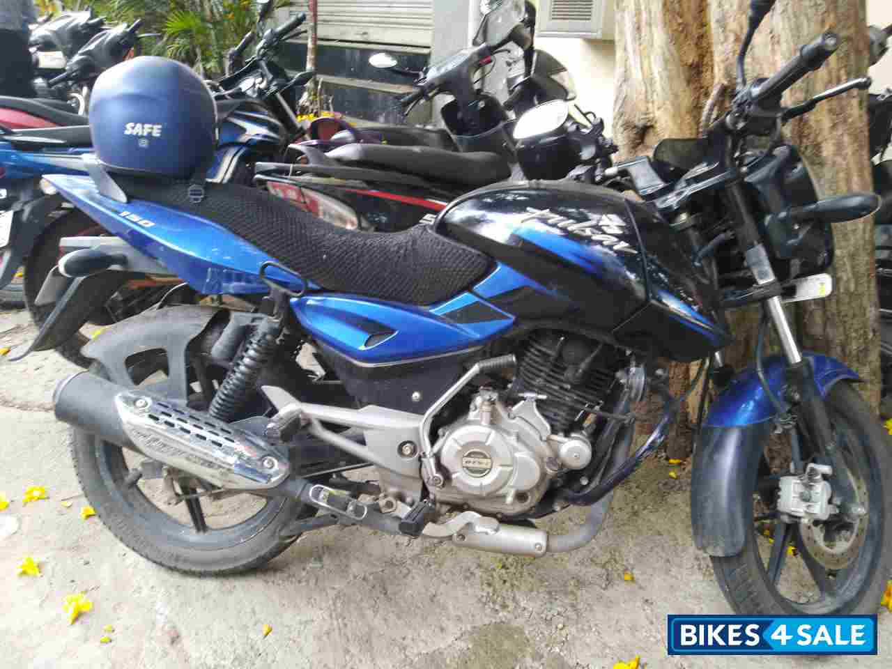 Blue And Black Bajaj Pulsar 150 DTSi
