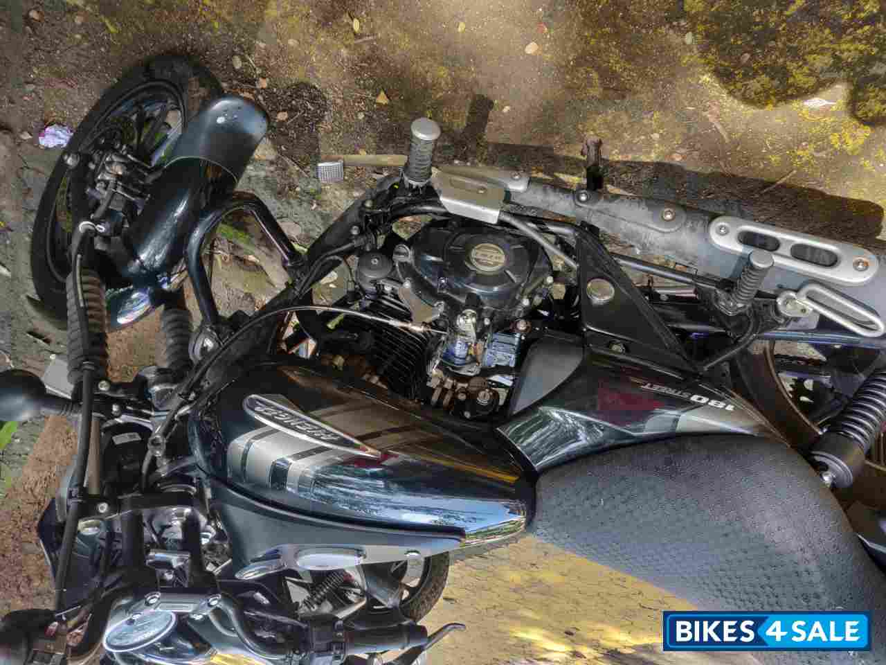 Bajaj Avenger Street 180