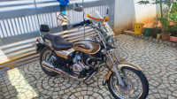 Golden Bajaj Avenger Cruise 220