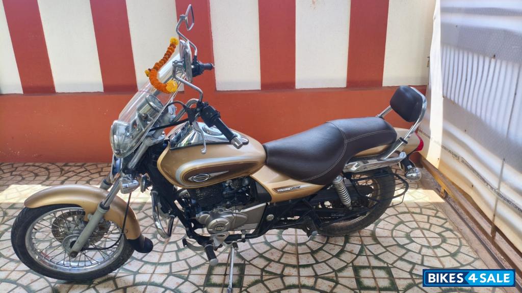 Golden Bajaj Avenger Cruise 220