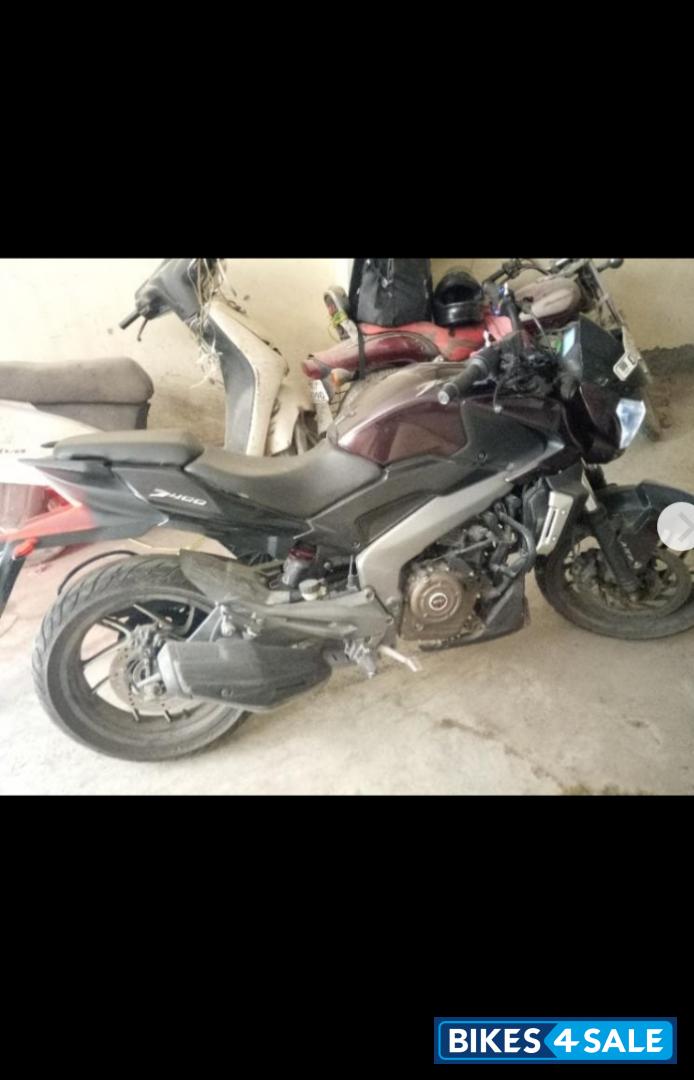 Twilight Plum Bajaj Dominar 400