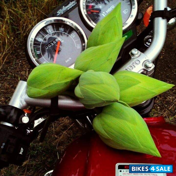 Brd Hero Splendor Pro Classic