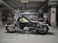 Copper Brown UM Renegade Commando Classic