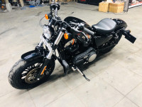 Vivd Black Harley Davidson Forty-Eight