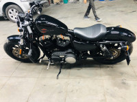 Vivd Black Harley Davidson Forty-Eight