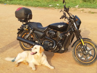 Matt Black Harley Davidson Street 750