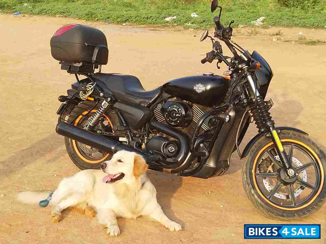 Matt Black Harley Davidson Street 750