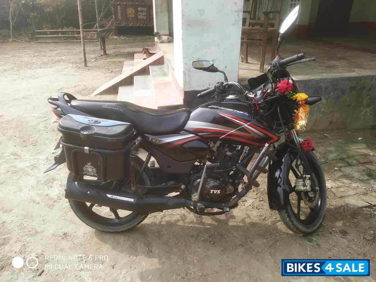 Black And Red TVS Phoenix