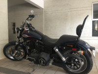 Harley Davidson  Bob