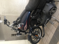 Harley Davidson  Bob