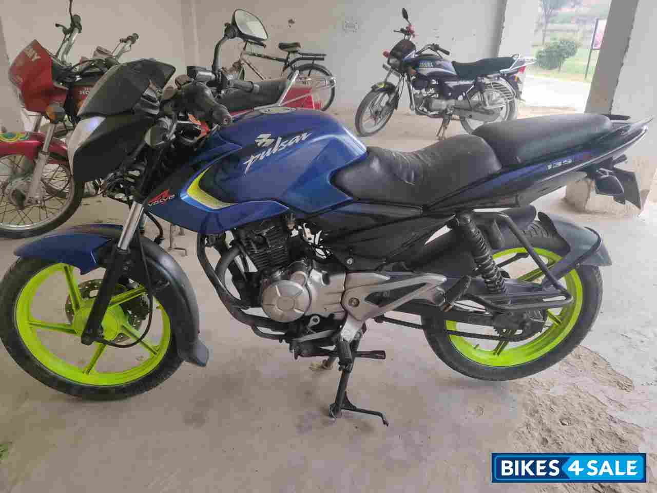 Metalic Blue Bajaj Pulsar 135LS
