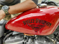 Harley Davidson Iron 883 2019 Model