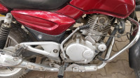Red Bajaj Pulsar 150 DTSi
