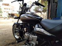 Bajaj Avenger Cruise 220