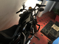 Black Harley Davidson Forty-Eight