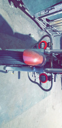 Royal Enfield Thunderbird TwinSpark 350  Model