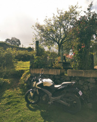 White Bajaj Dominar 400 Disc