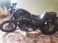 Matte Black Harley Davidson Iron 883