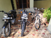 Matte Black Harley Davidson Iron 883