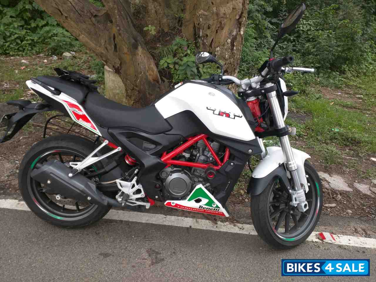 White Benelli TNT 25