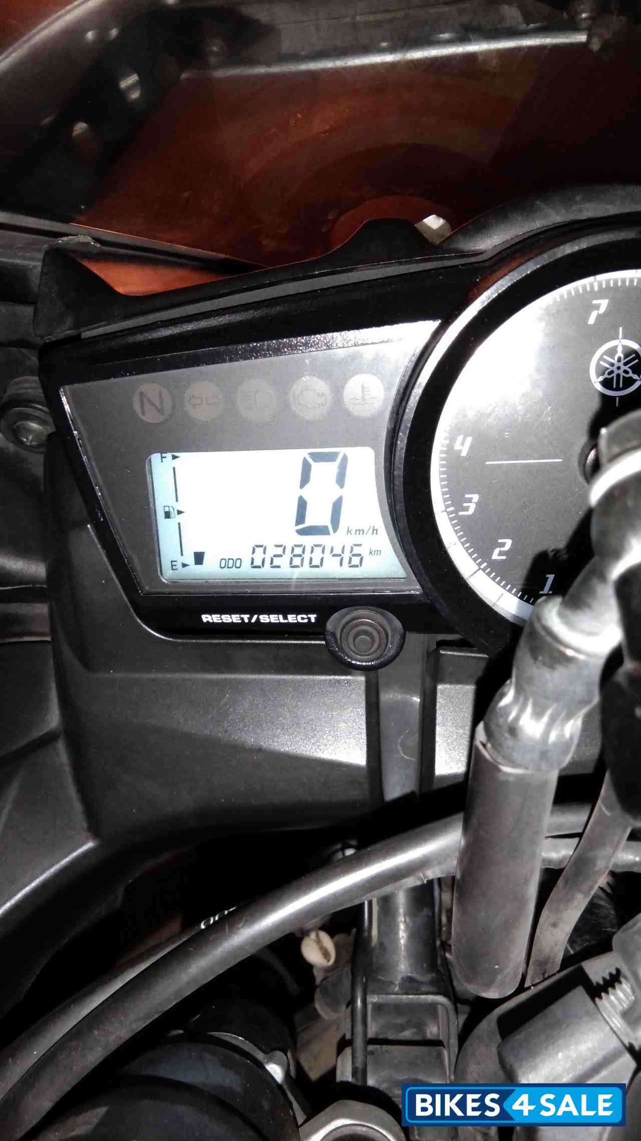 White Blue Yamaha YZF R15 S