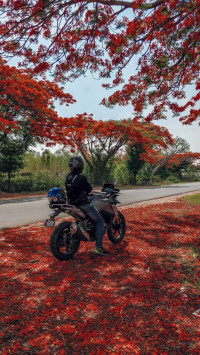 Cosmic Black BMW G 310 GS