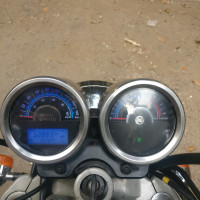 Copper Green Glossy Royal Enfield Thunderbird 350