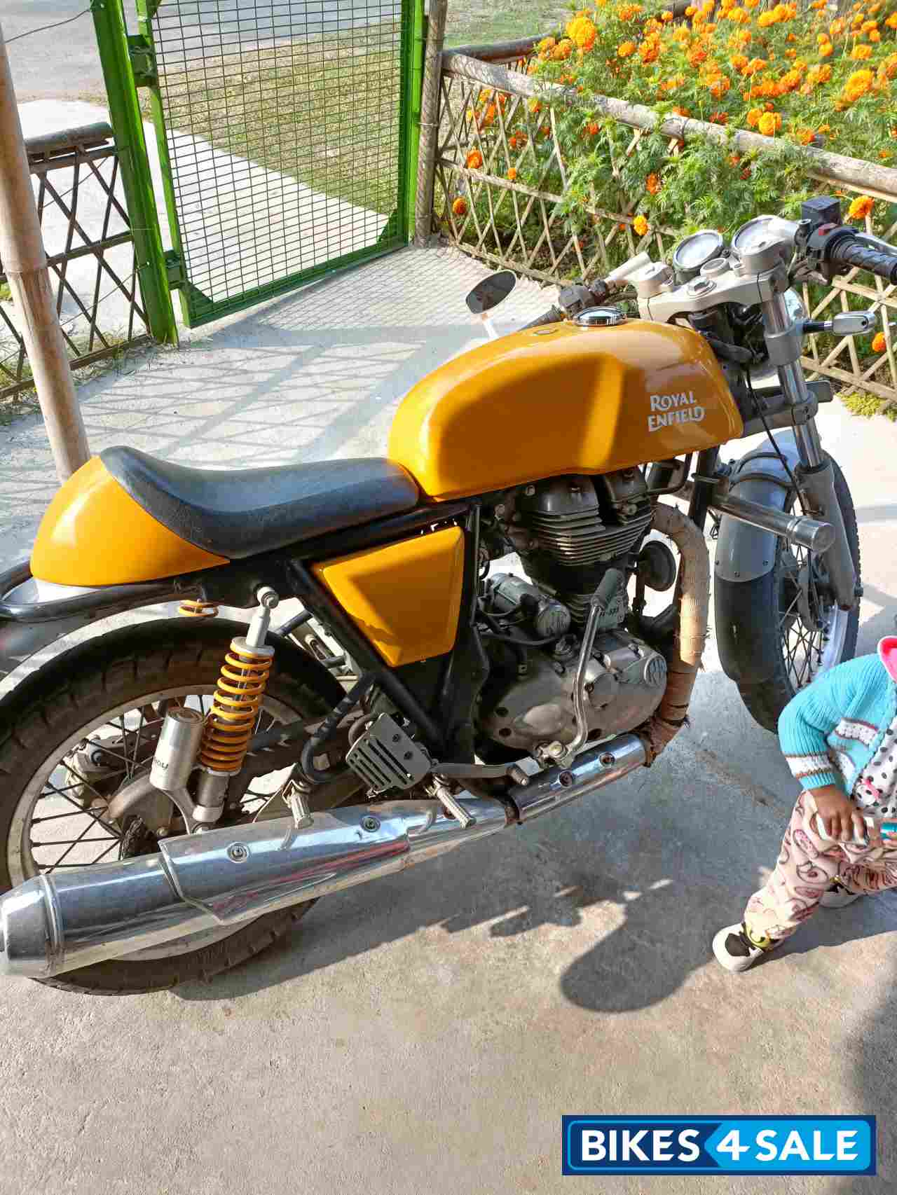 Royal Enfield Continental GT 535