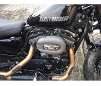 Black Harley Davidson Roadster