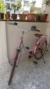 Bicycle BSA  Model