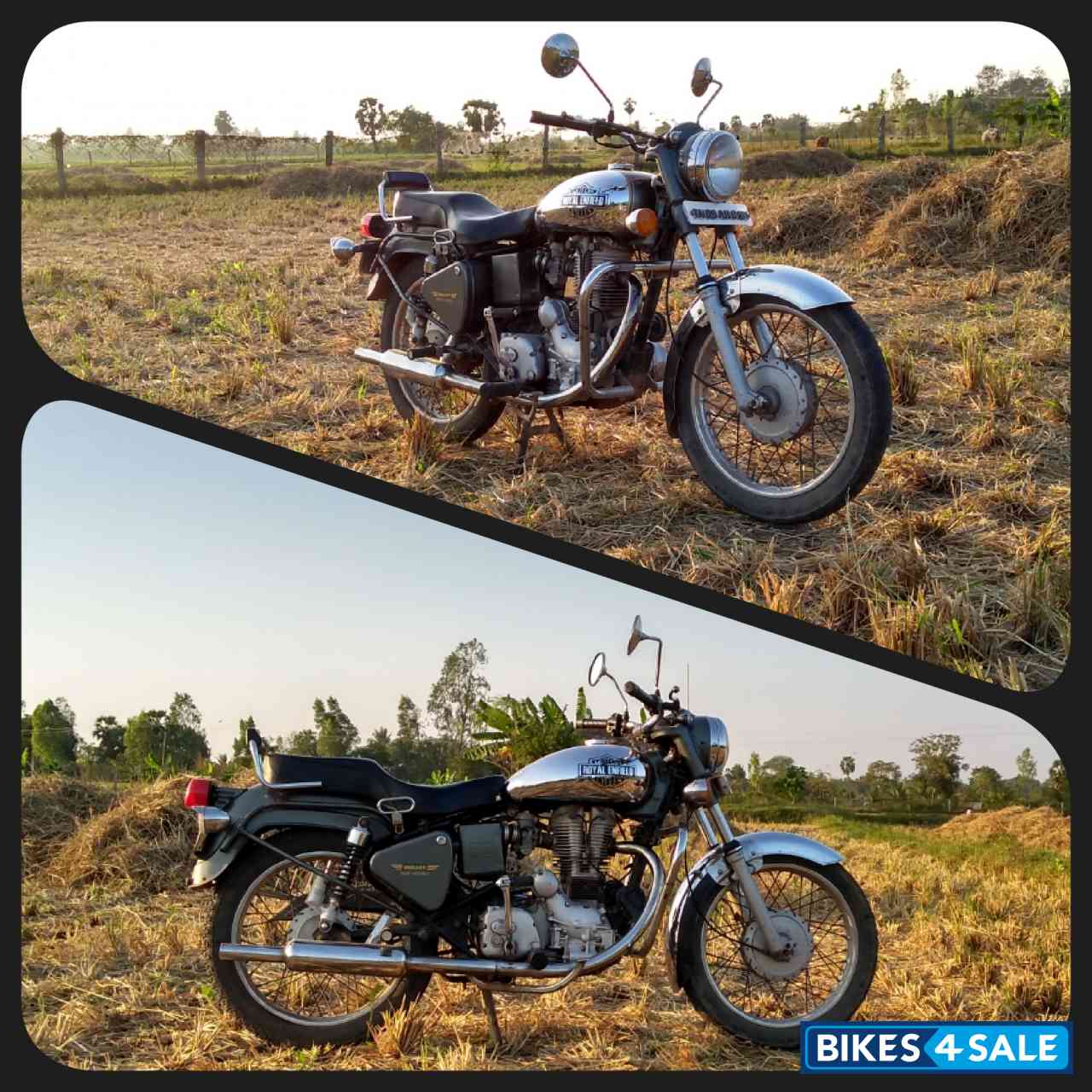 bullet machismo 2004 model