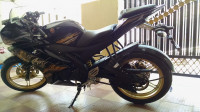 Black & Gold Spl Yamaha YZF R15