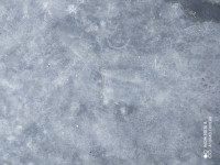 TVS Apache RTR 160 2013 Model