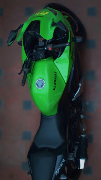 Green Kawasaki Ninja 250R