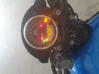 Harley Davidson Street Rod