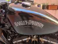 Harley Davidson Iron 883