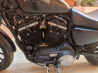 Harley Davidson Iron 883