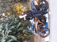 Metal Gray And Orage Honda CBR 250R