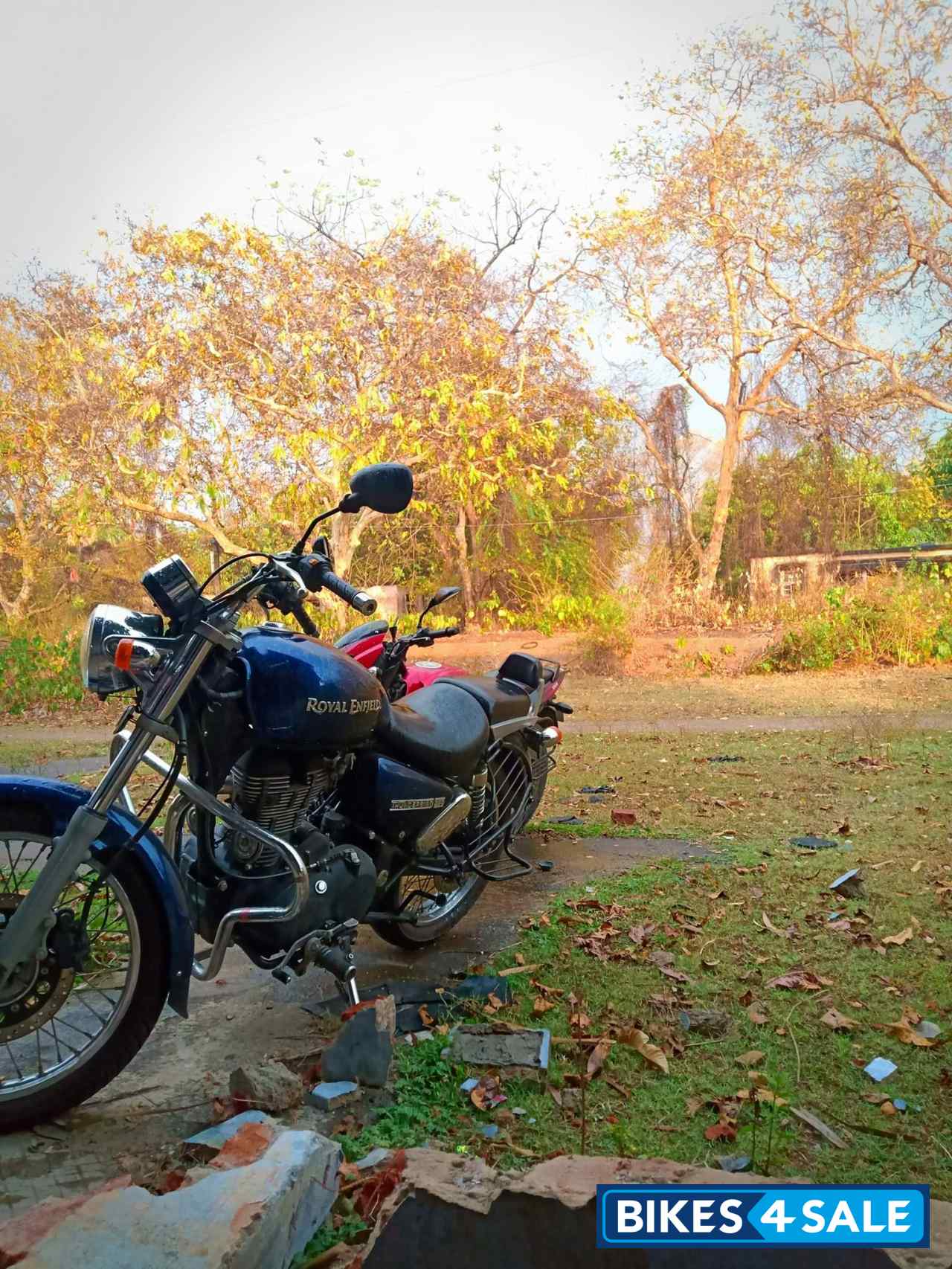 Marine Blue Royal Enfield Thunderbird 350