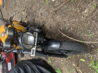 Yellow Royal Enfield Continental GT