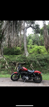 Harley Davidson Iron 883