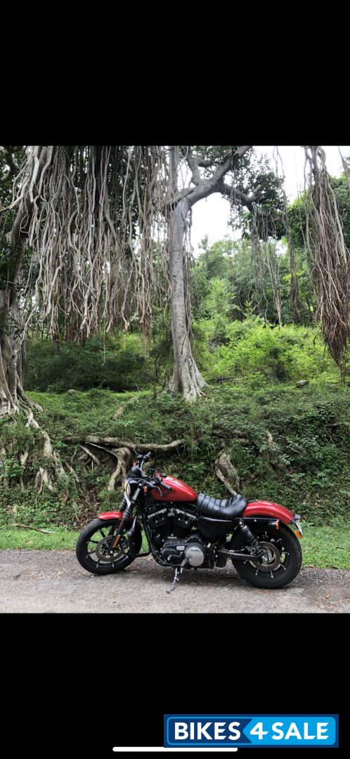 Harley Davidson Iron 883