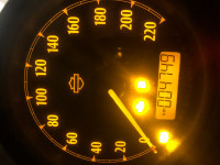 Harley Davidson Iron 883