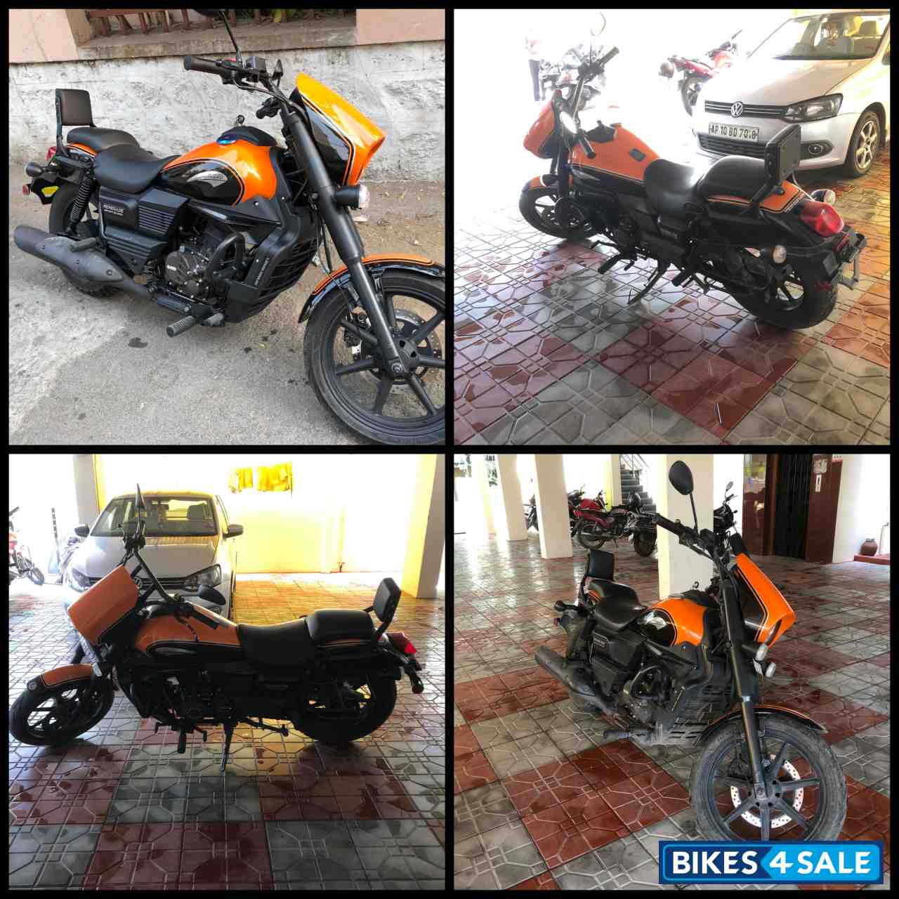 UM Renegade Sports S