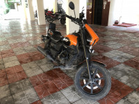 UM Renegade Sports S