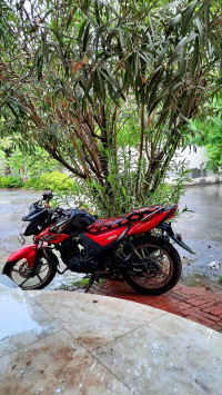 Yamaha SZ-RR V2 2015 Model