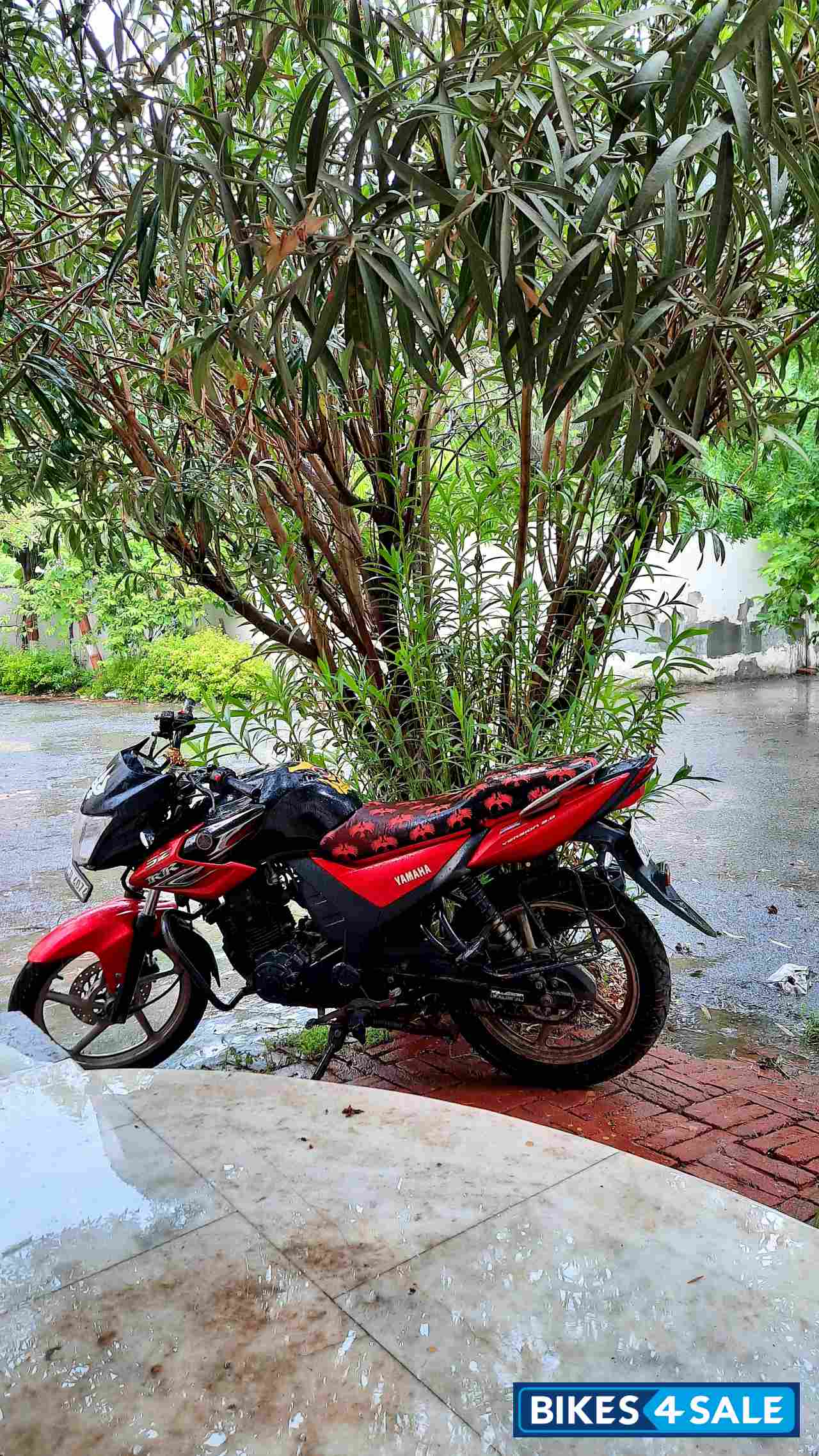 Black And Red Yamaha SZ-RR V2