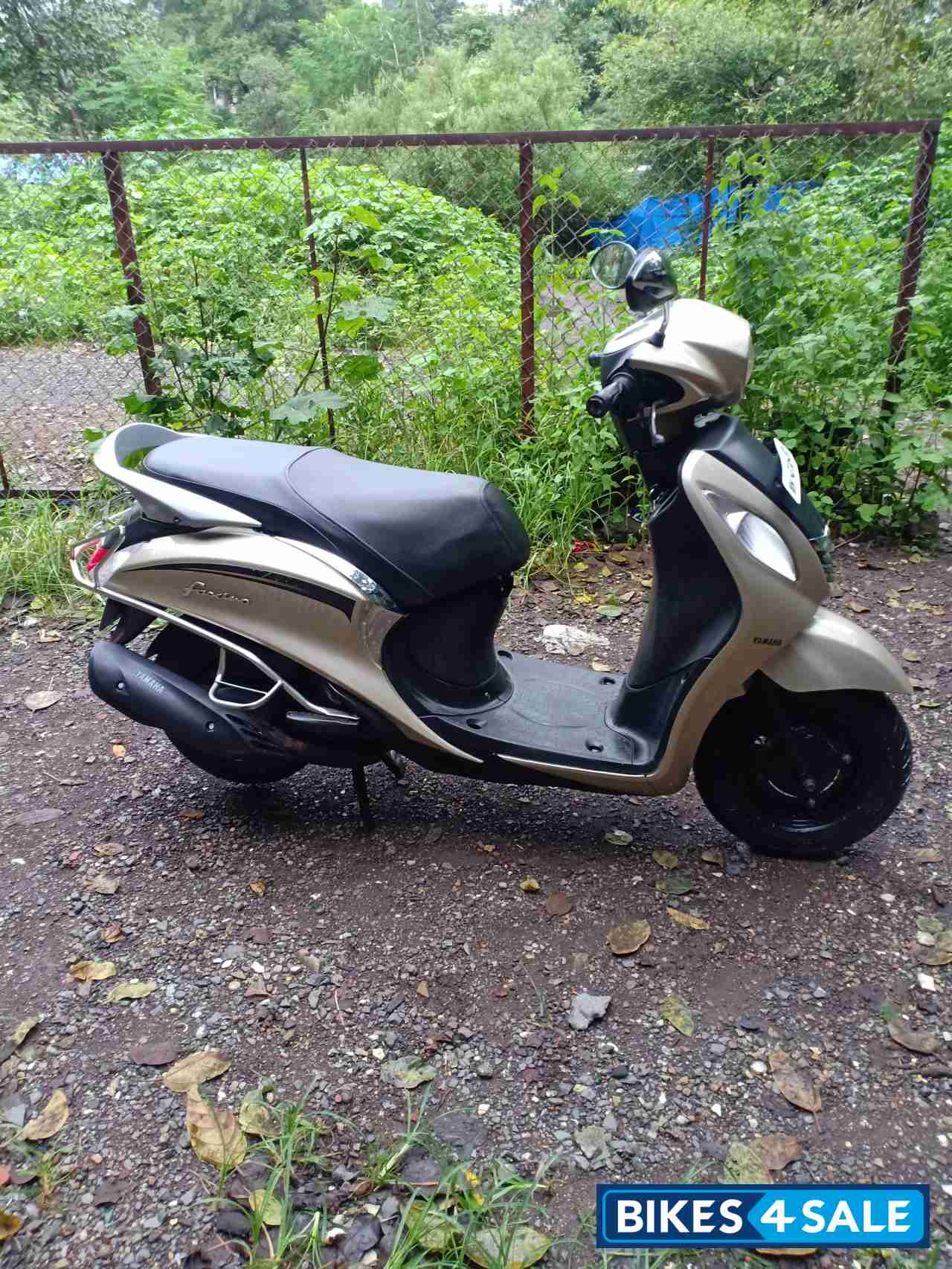 Golden Yamaha Fascino